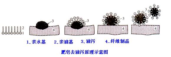 肥皂、洗衣粉和洗衣液三者有哪些區(qū)別？